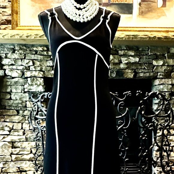 Lovely BCBG sleeveless Black tailored Dress with 2 vertical stripes, Size Small - Picture 8 of 9